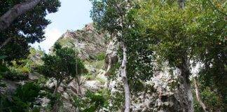 MP Lake sets the record straight and presents the facts about Emilio Wilson Estate Purchase Process and Charlotte Brookson Academy