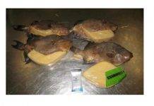 Customs officers in Miami discover cocaine in fried fish from Jamaica