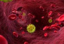 Group says People are Intentionally Infecting Others with HIV Virus in Antigua