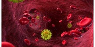 Group says People are Intentionally Infecting Others with HIV Virus in Antigua