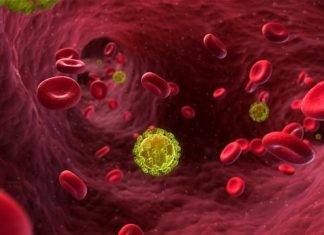 Group says People are Intentionally Infecting Others with HIV Virus in Antigua