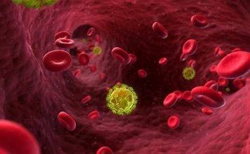 Group says People are Intentionally Infecting Others with HIV Virus in Antigua