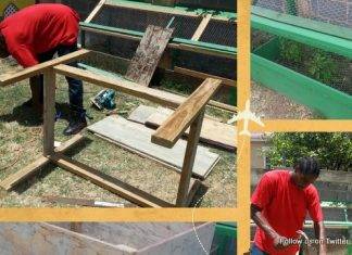 Client Success Story Spotlight on: Kambui James