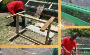 Client Success Story Spotlight on: Kambui James