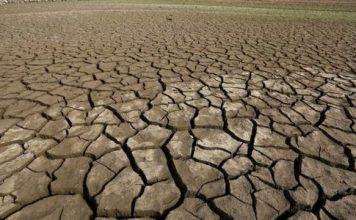 BBC: Earth 'entering new extinction phase' – US study