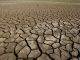 BBC: Earth 'entering new extinction phase' – US study