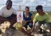 Sea Turtle and Tern Nests Protected by Nature Foundation Summer Job Students
