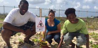 Sea Turtle and Tern Nests Protected by Nature Foundation Summer Job Students
