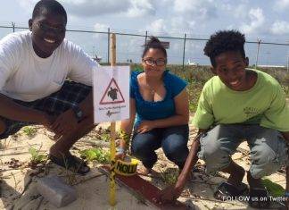 Sea Turtle and Tern Nests Protected by Nature Foundation Summer Job Students