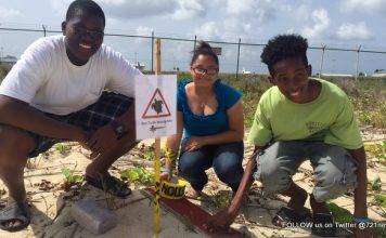 Sea Turtle and Tern Nests Protected by Nature Foundation Summer Job Students