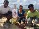 Sea Turtle and Tern Nests Protected by Nature Foundation Summer Job Students