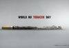 May 31st Marked World No Tobacco Day