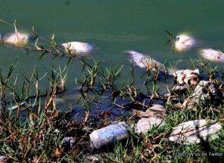 Introduction water quality testing Firgos Channel