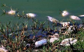 Introduction water quality testing Firgos Channel