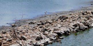 Sint Maarten Facing One of the Most Serious Droughts in Years