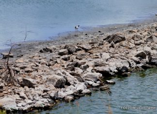 Sint Maarten Facing One of the Most Serious Droughts in Years