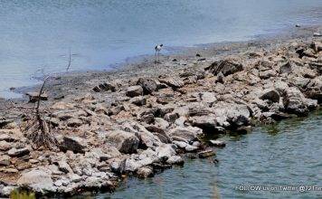 Sint Maarten Facing One of the Most Serious Droughts in Years