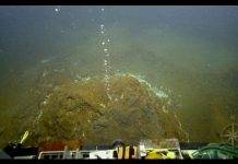 Increased Seismic Activity at Kick ’em Jenny