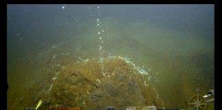 UPDATE (#2): Elevated seismic activity at the Kick ‘em-Jenny Submarine Volcano