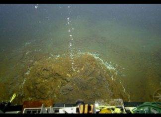 Increased Seismic Activity at Kick ’em Jenny