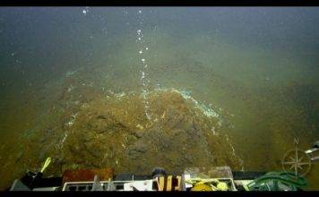 Increased Seismic Activity at Kick ’em Jenny