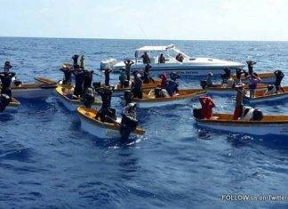 28 Poachers together with 14 unlicensed vessels were apprehended yesterday