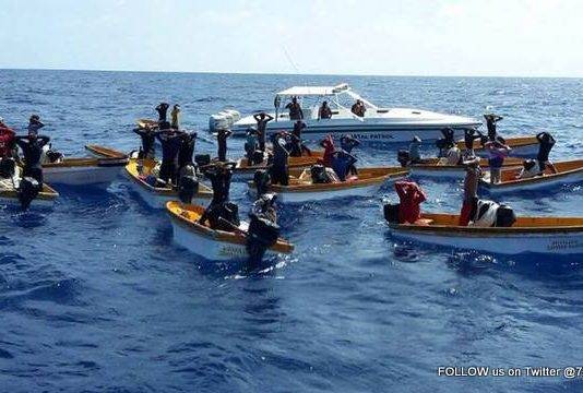 28 Poachers together with 14 unlicensed vessels were apprehended yesterday