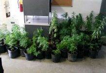 Royal Turks and Caicos POLICE REPORT