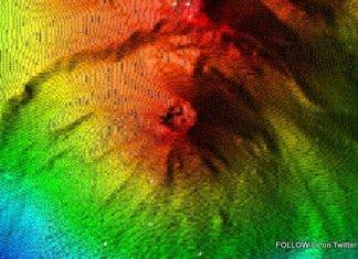 ODM: Threat from Kick ‘em Jenny Undersea Volcano Diminishes. Alert Orange downgraded to Yellow