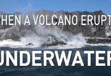 Barbados, Grenada, St. Vincent & the Grenadines and Trinidad & Tobago have been put on orange alert