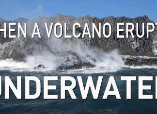 Barbados, Grenada, St. Vincent & the Grenadines and Trinidad & Tobago have been put on orange alert