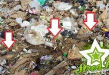 Kurpa sin bida hañá na Landfill Malpais.