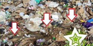 Kurpa sin bida hañá na Landfill Malpais.