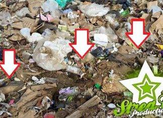 Kurpa sin bida hañá na Landfill Malpais.