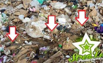 Kurpa sin bida hañá na Landfill Malpais.