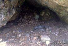 Nature Foundation Monitors Effects of Sentry Hill Fire Fire Started by Individual on Sentry Hill