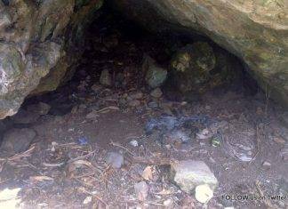 Nature Foundation Monitors Effects of Sentry Hill Fire Fire Started by Individual on Sentry Hill