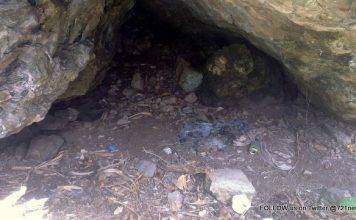 Nature Foundation Monitors Effects of Sentry Hill Fire Fire Started by Individual on Sentry Hill