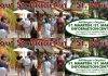 Everythingstmaarten.com To Give Away Three St. Maarten Vacations Tuesday 8/4 — And At Least Seven More Soon After