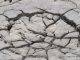 Nature Foundation Finds Presence of Heavy Metals in Soil of Great Salt Pond