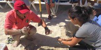 Nature Foundation Relocate 148 Endangered Sea Turtle Eggs from Great Bay to Simpson Bay due to Human Activities, Hurricane Danny