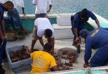 De cutter Poema controleerd de vissersvaartuig de 'Scallywagg'