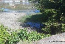 *** VIDEO***: The Nature Foundation is assisting the VROMI Ministry in raising the water level of the Fresh and Great Salt Ponds