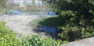 *** VIDEO***: The Nature Foundation is assisting the VROMI Ministry in raising the water level of the Fresh and Great Salt Ponds