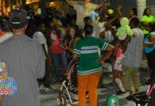 MP Tamara Leonard calls for regulation of youth participation in adult oriented Carnival events