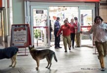 Chile earthquake: 8.3-magnitude quake strikes off coast