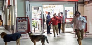 Chile earthquake: 8.3-magnitude quake strikes off coast