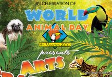 World’s Animal Day- Arts, Crafts & Stuff