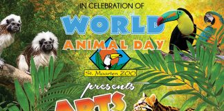World’s Animal Day- Arts, Crafts & Stuff