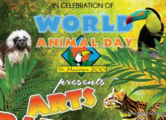 World’s Animal Day- Arts, Crafts & Stuff